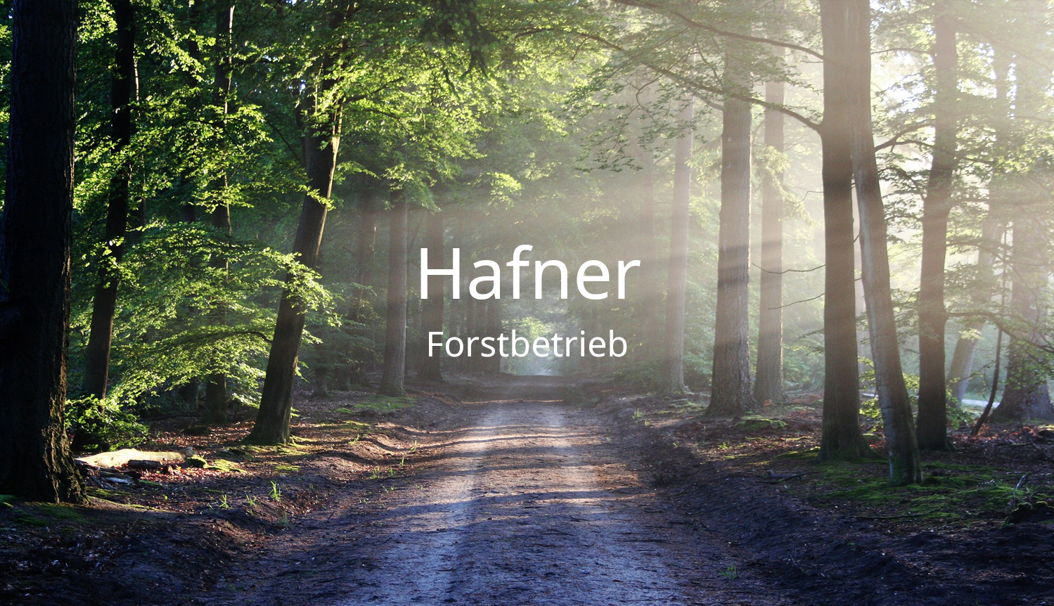 Hafner